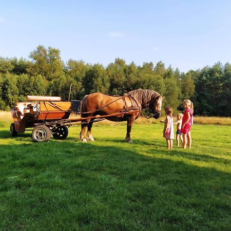 Smoldzinski Forest Смолдзінські-Ляс Екстер'єр фото